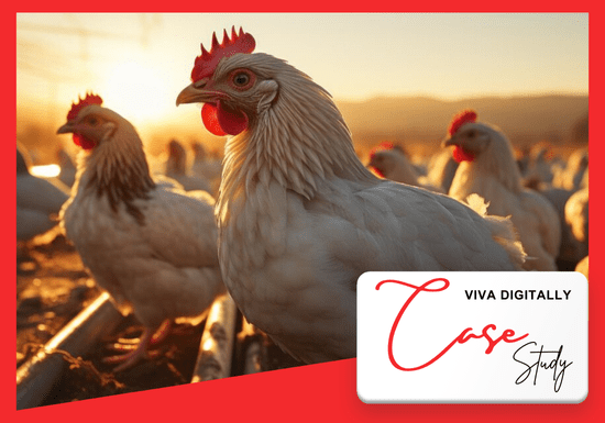 Poultry – Secondary Connectivity for enhanced network redundancy using Managed SD-WAN