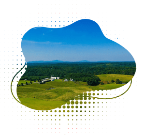 Real Estate-Business Communication Tools UK