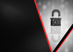 Information Security Management India